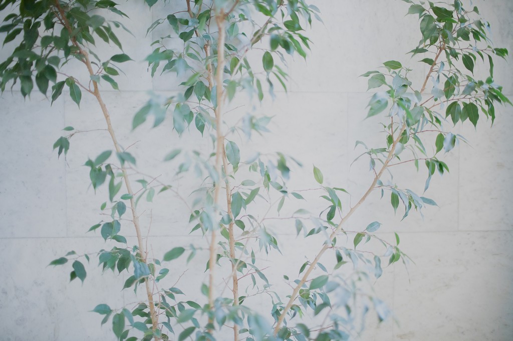 В Российской национальной библиотеке.JPG