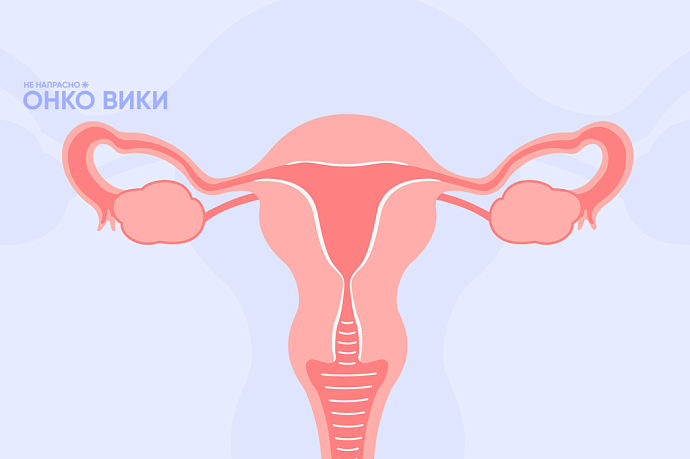 «Симптомы трудно не заметить»: вышел онлайн-справочник о раке эндометрия (тела матки)